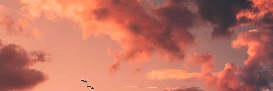 VvWatergorlvV's profile banner image