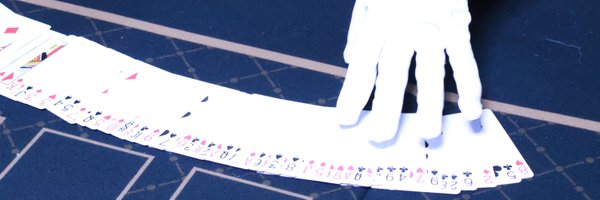 lightrain_cos Profile Banner