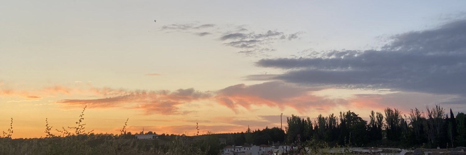 Flores banner