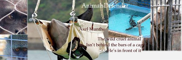 CagesFree Profile Banner
