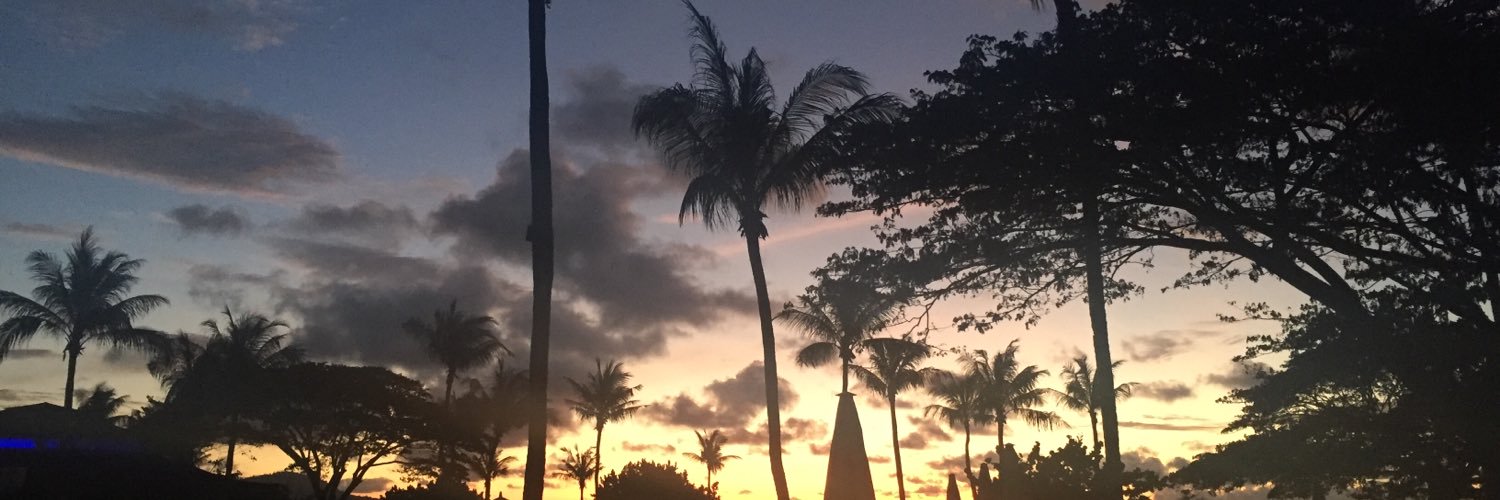 NicCarvell's profile banner image