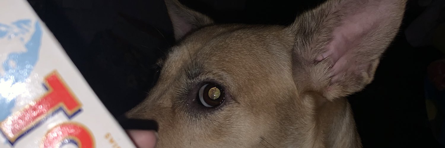 Siobyy's profile banner image