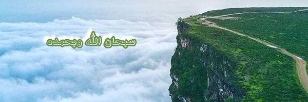 taif1700017 Profile Banner