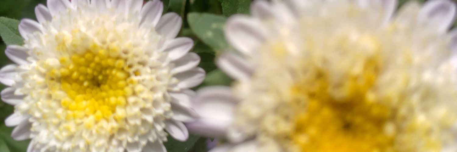 abi214's profile banner image