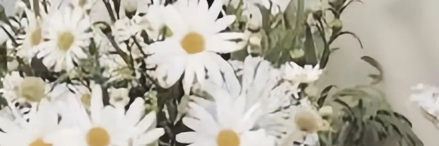 _sicikal_'s profile banner image