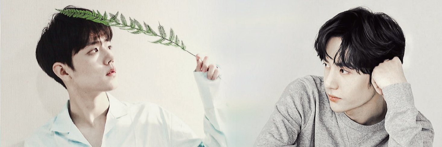 샤샤‎ banner