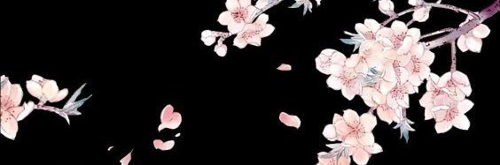 Maureen banner