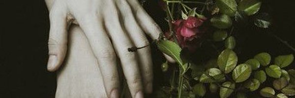 PetalsStyle Profile Banner