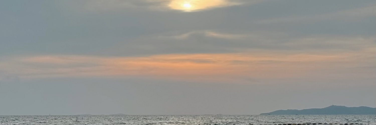 nutnutiz's profile banner image