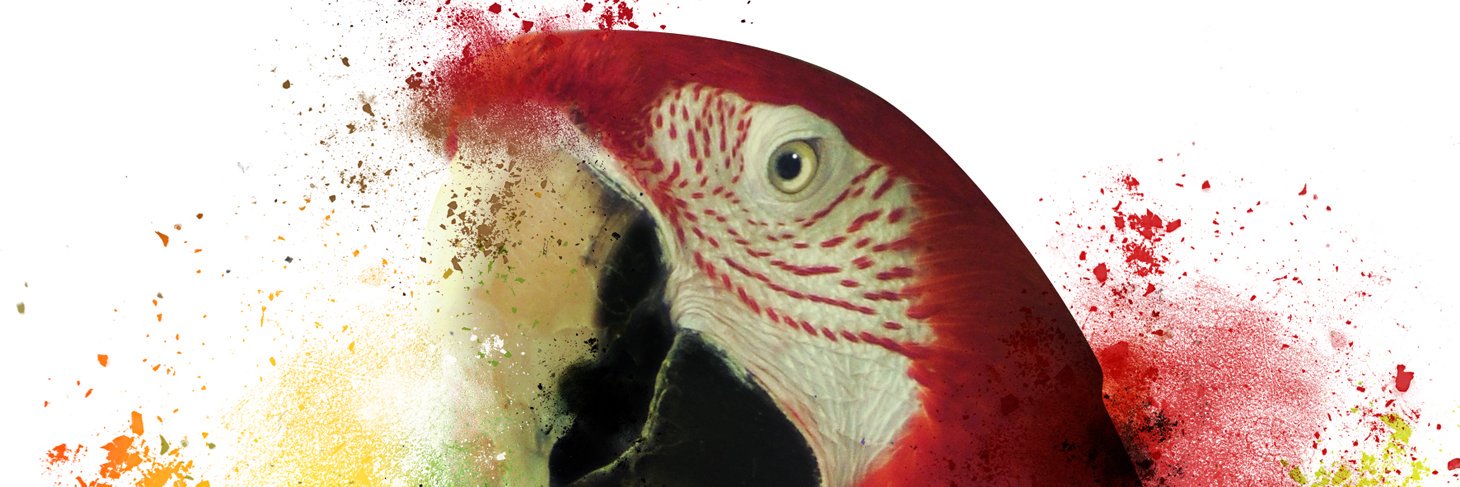 AbdoShbah's profile banner image