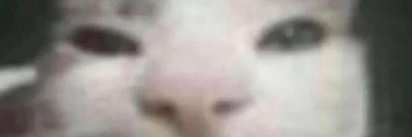 Gingus_Shingles's profile banner image