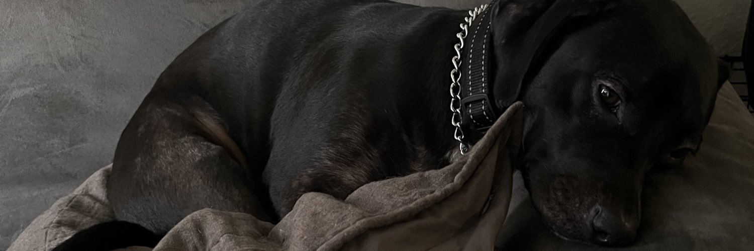 Jesse banner