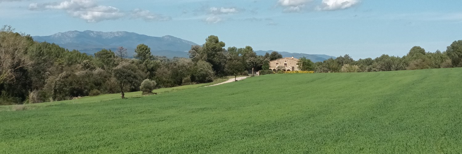 berulio's profile banner image