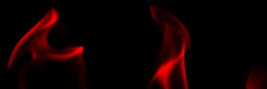 Commander Raptor banner