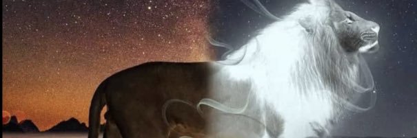 PelsBanson's profile banner image