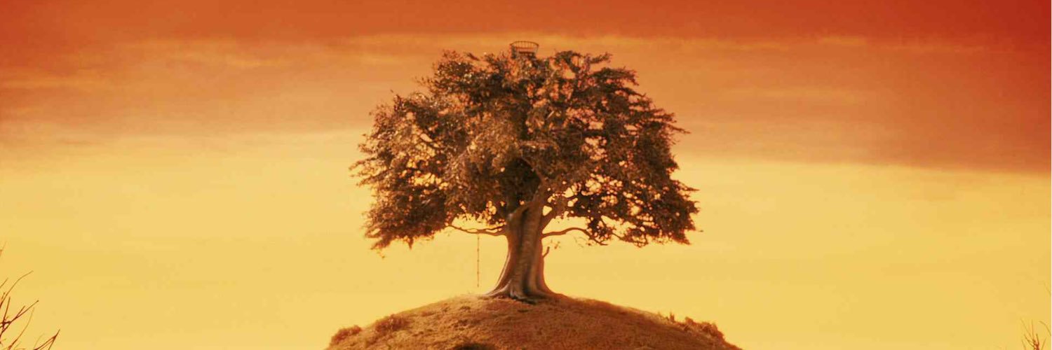 yoda_does_yoga's profile banner image