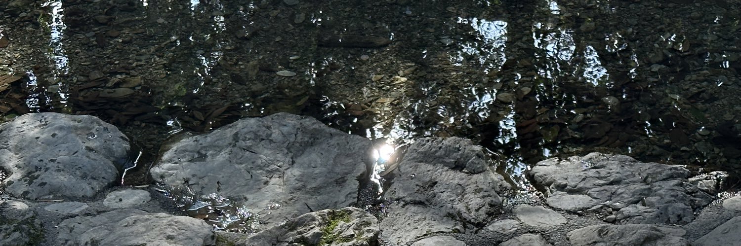 fraote's profile banner image