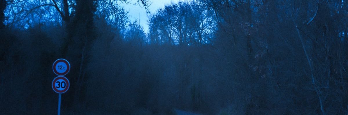 taylor banner