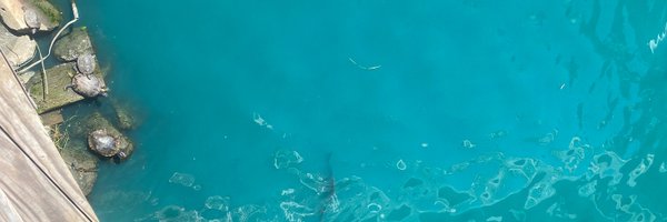 Enric58092954 Profile Banner