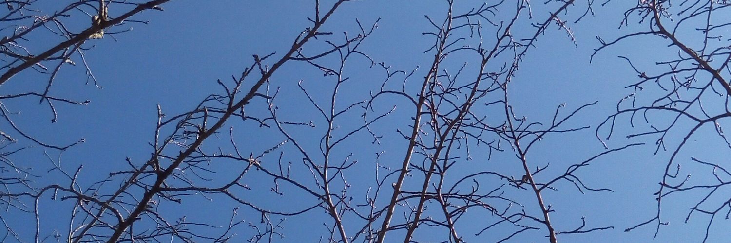 144nomoe's profile banner image