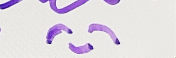 pscd_nm Profile Banner
