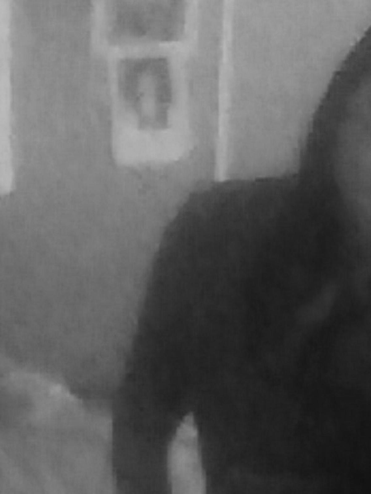 constanzavida13's profile banner image