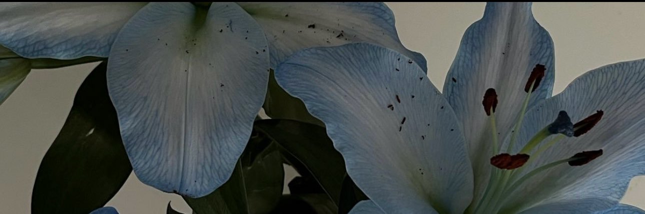 As banner