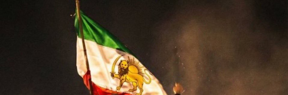 FreedomFighter banner