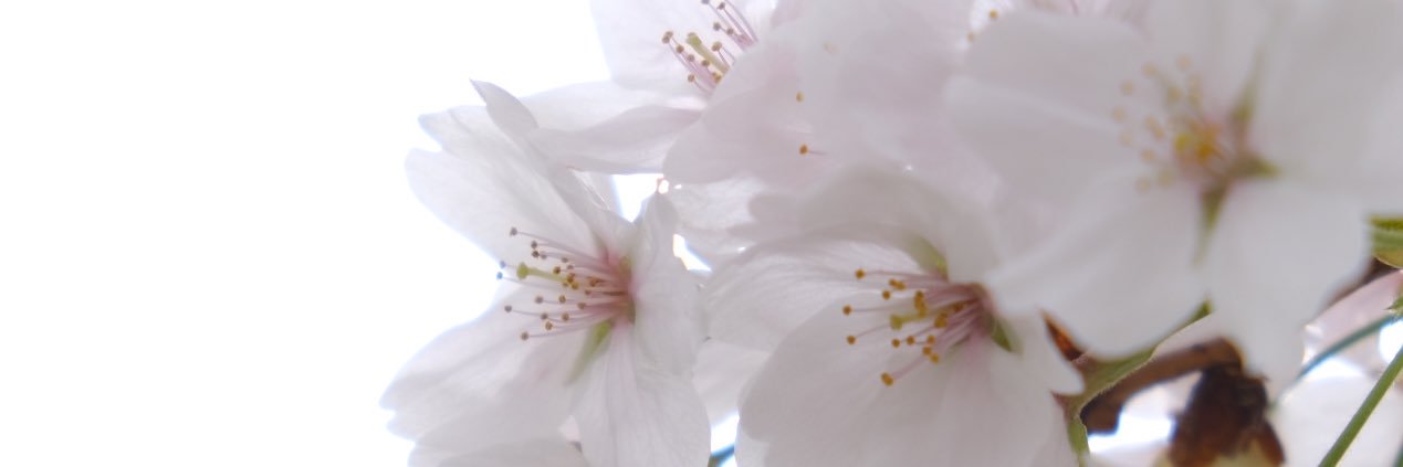 nikai06's profile banner image