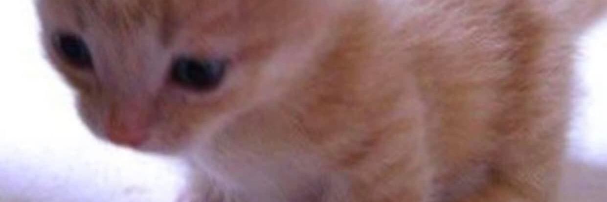 Franco banner