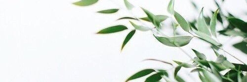 kcookie11's profile banner image