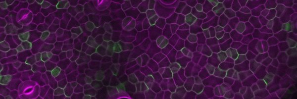 IdoNir5 Profile Banner