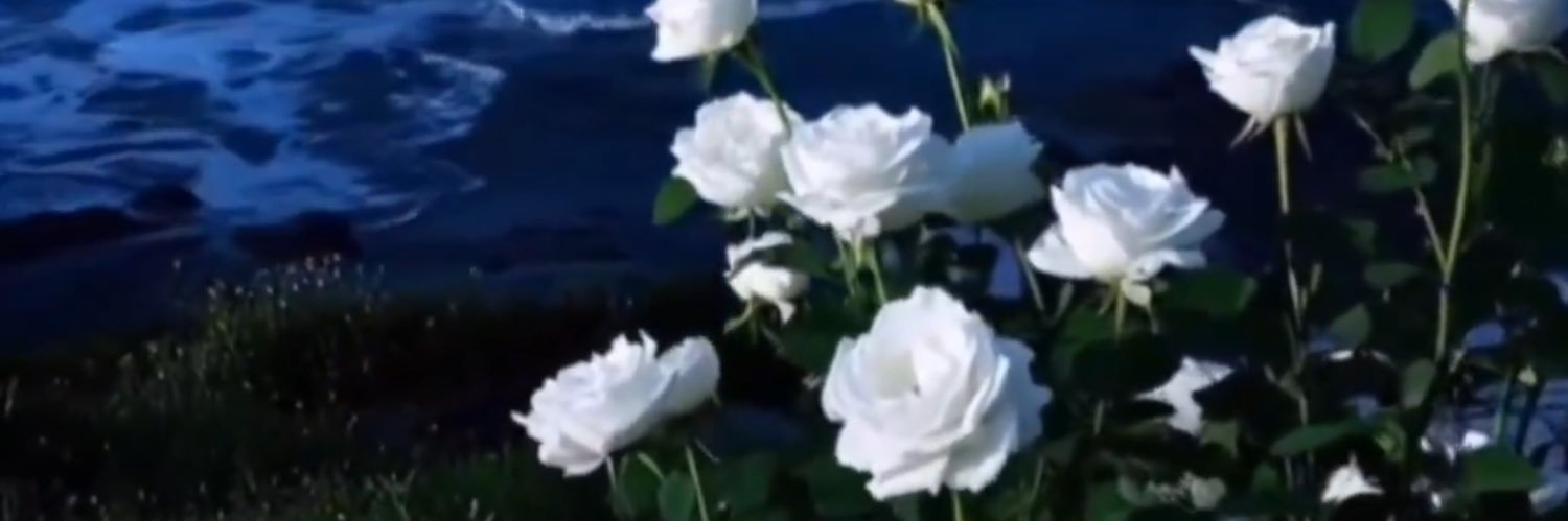 Dyante_'s profile banner image