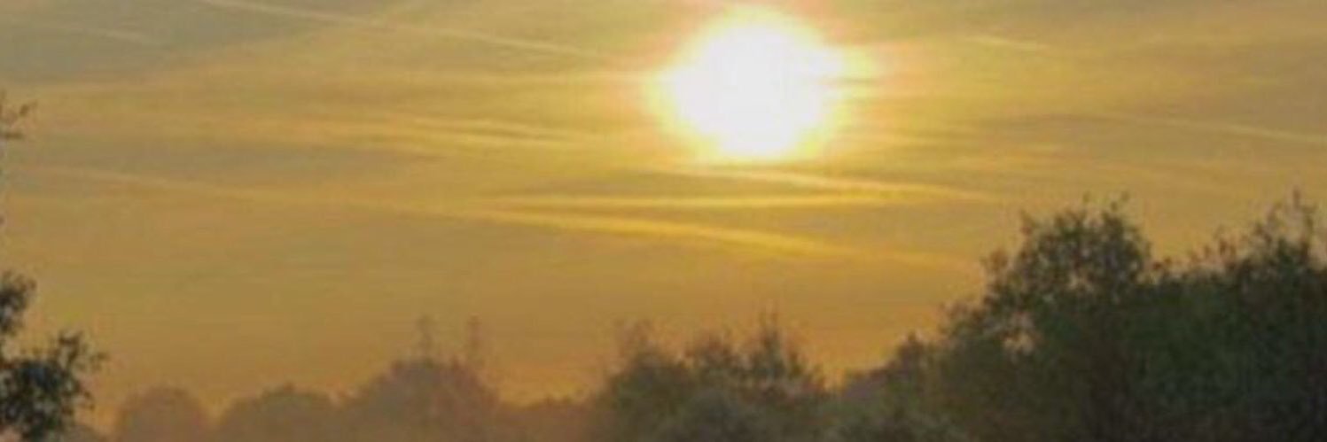 KellyAml5544's profile banner image
