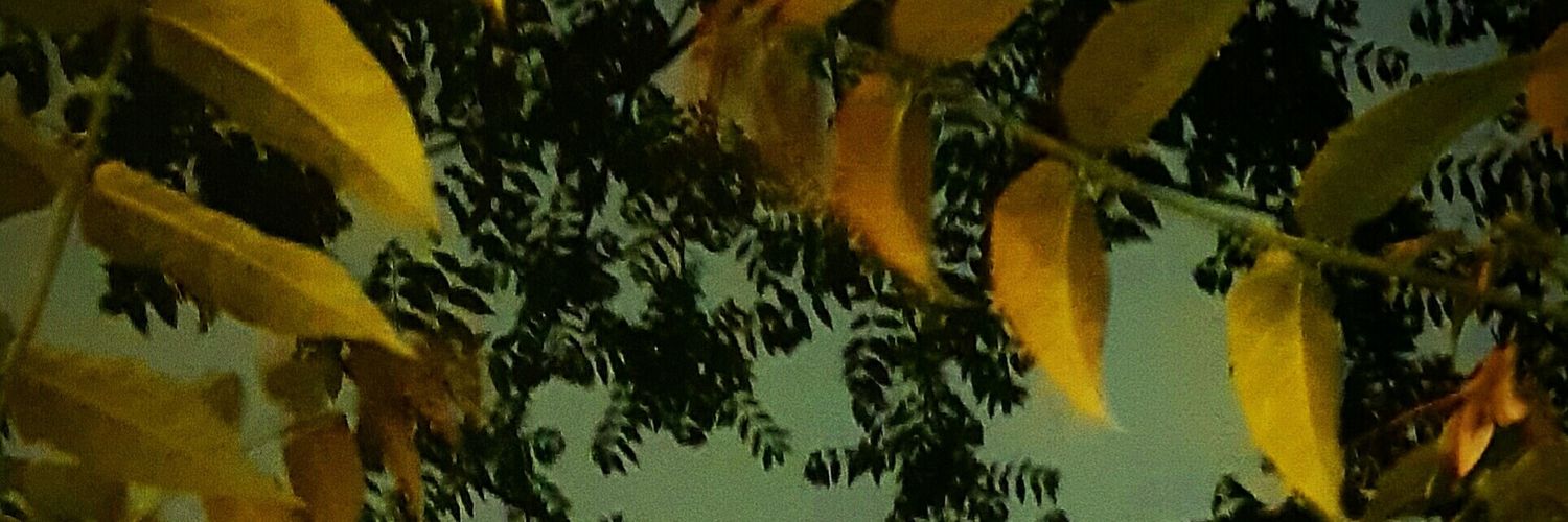 Matt_ONE20eu's profile banner image