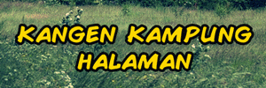 TheTrueGunners's profile banner image