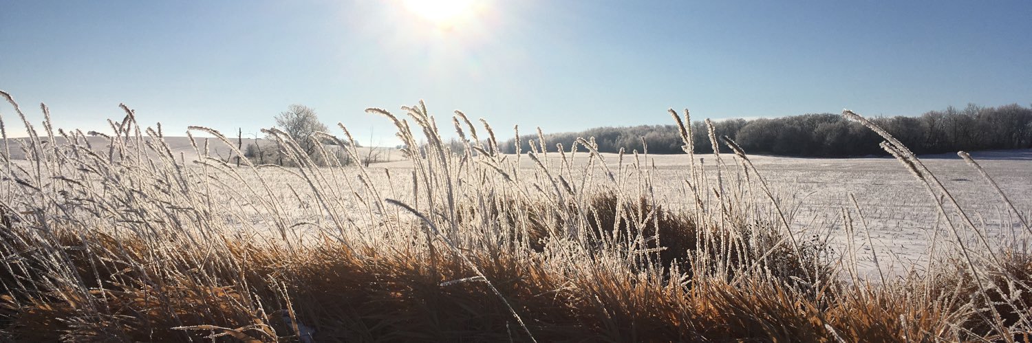 prairiered's profile banner image