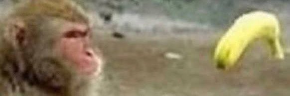 Habran_meloyo 🚬 banner