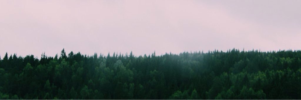 MimiMelassi's profile banner image
