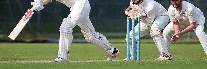 Somerset County Sports Sunday Cricket League banner