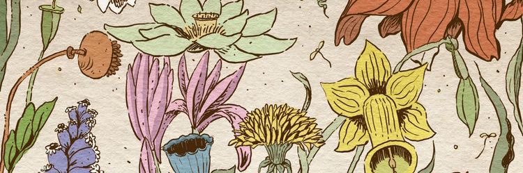 PuSawinee's profile banner image