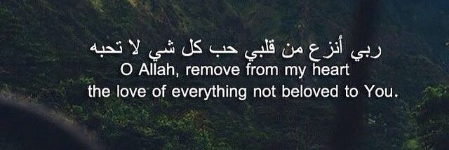 Vax Merstappen banner