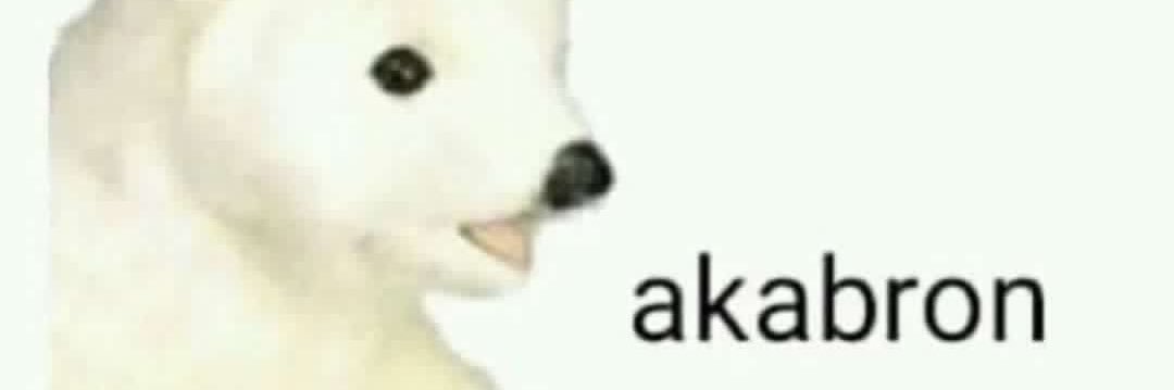ℭ𝔦𝔫𝔡𝔶 🕷 banner