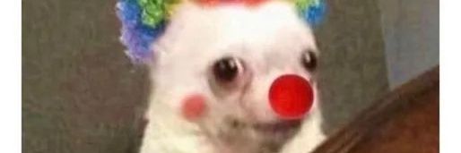 Escorpió Red banner