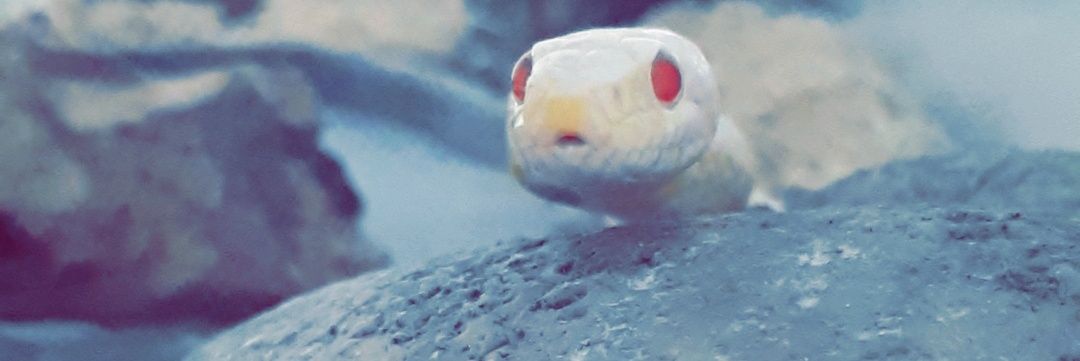 MickKaD's profile banner image