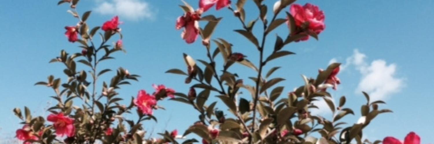 march0312's profile banner image
