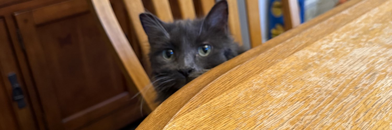 Hooper FM”Jopa”🐟 banner