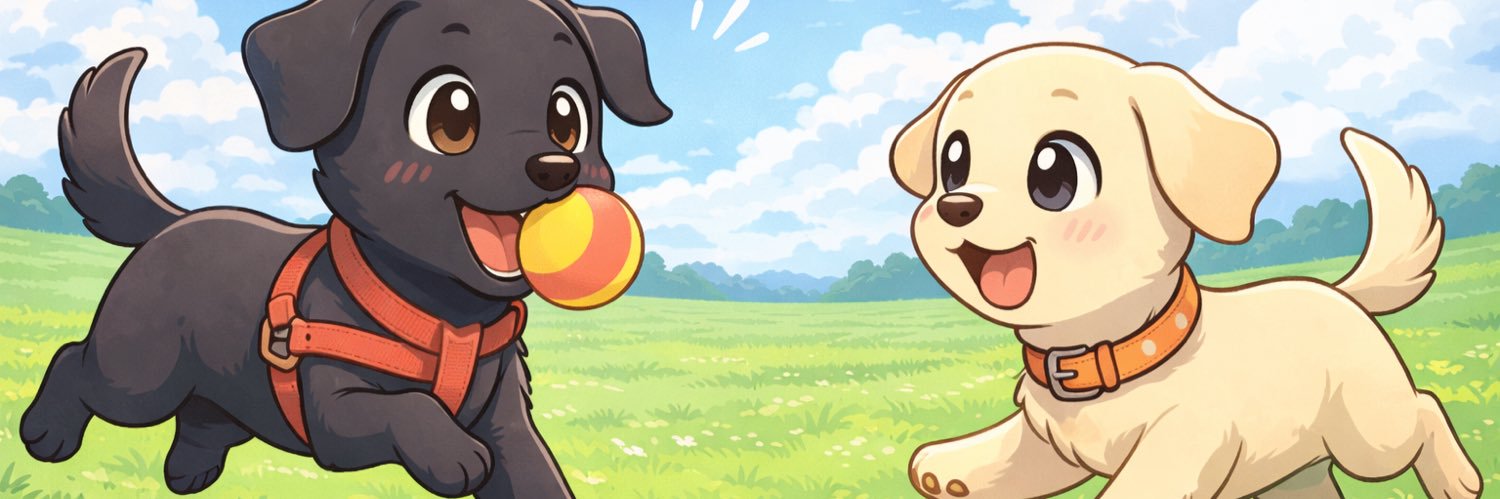 モグ🐶 banner