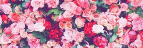 Danii_DP97's profile banner image