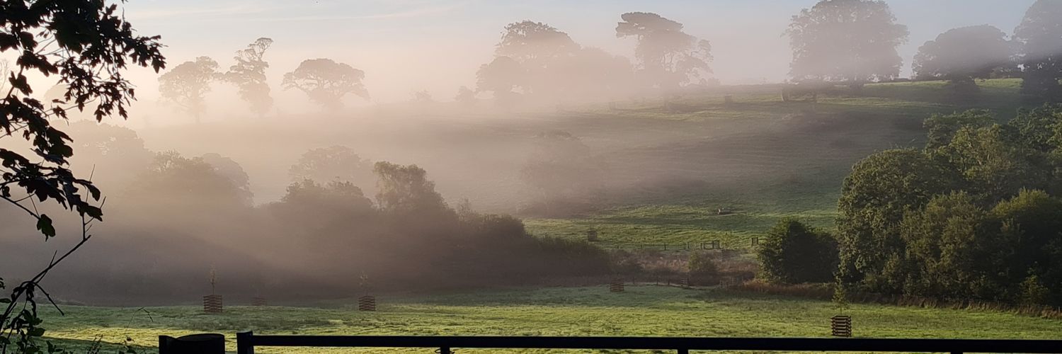 Cornish_roz's profile banner image